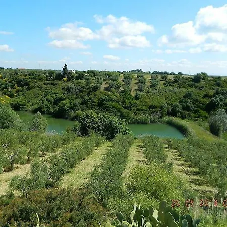 Appartamento Rustic In Montalbano Jonico *